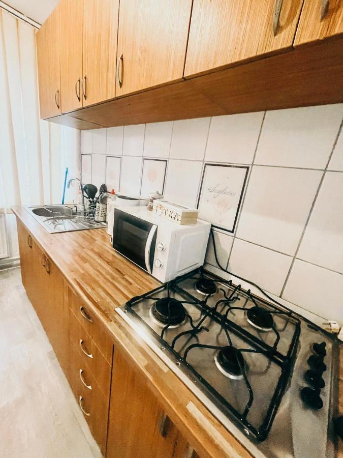 Ultracentral Big Apartment - Near The Opera Square P17 Τιμισοάρα Εξωτερικό φωτογραφία
