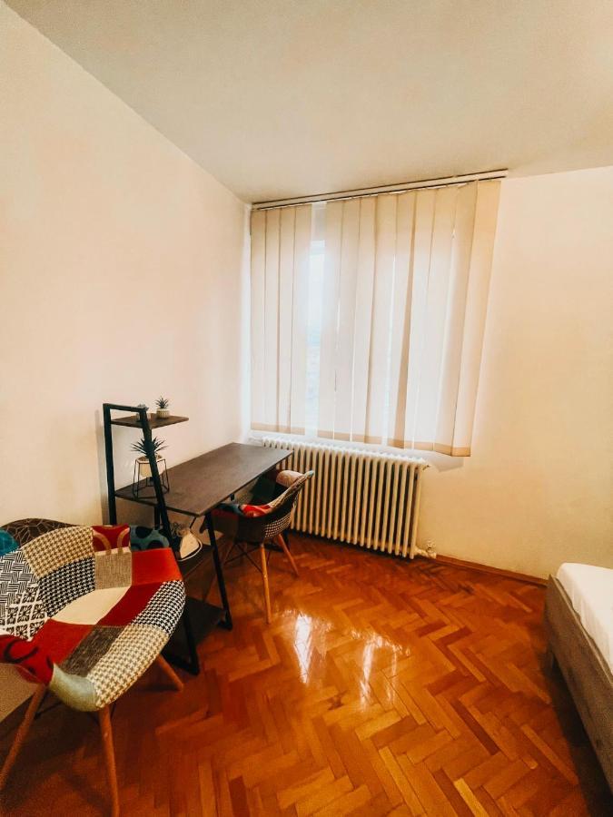 Ultracentral Big Apartment - Near The Opera Square P17 Τιμισοάρα Εξωτερικό φωτογραφία