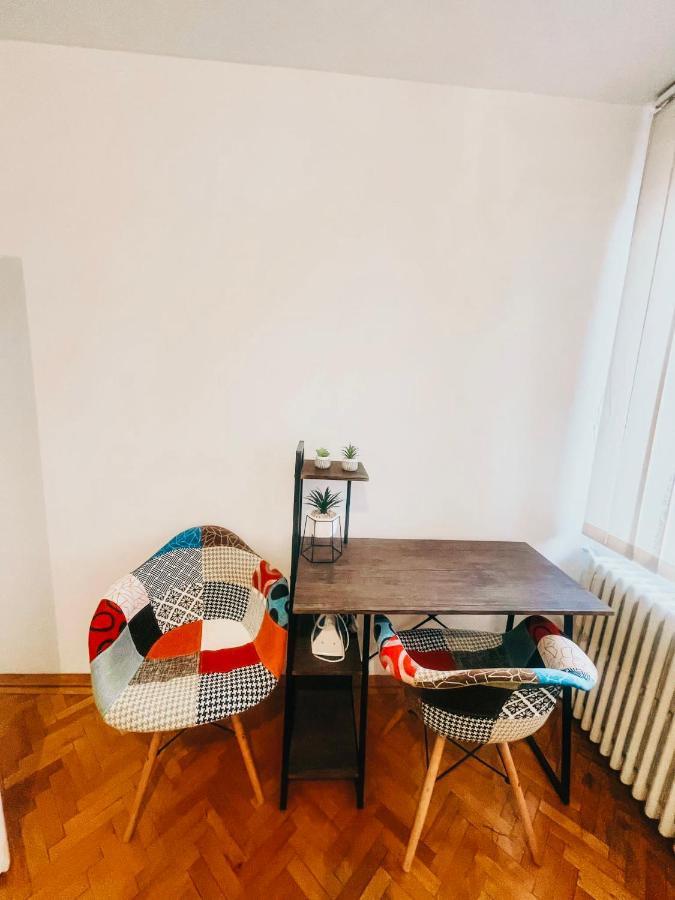 Ultracentral Big Apartment - Near The Opera Square P17 Τιμισοάρα Εξωτερικό φωτογραφία