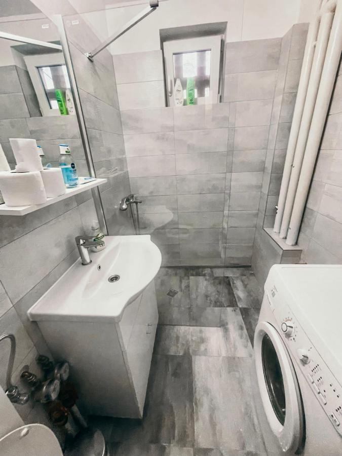 Ultracentral Big Apartment - Near The Opera Square P17 Τιμισοάρα Εξωτερικό φωτογραφία