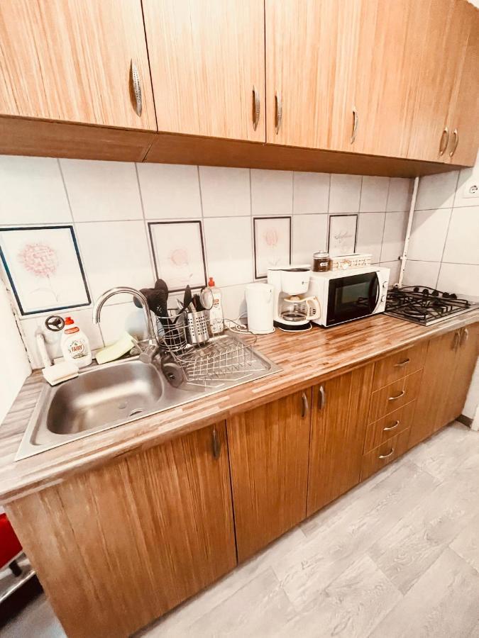 Ultracentral Big Apartment - Near The Opera Square P17 Τιμισοάρα Εξωτερικό φωτογραφία