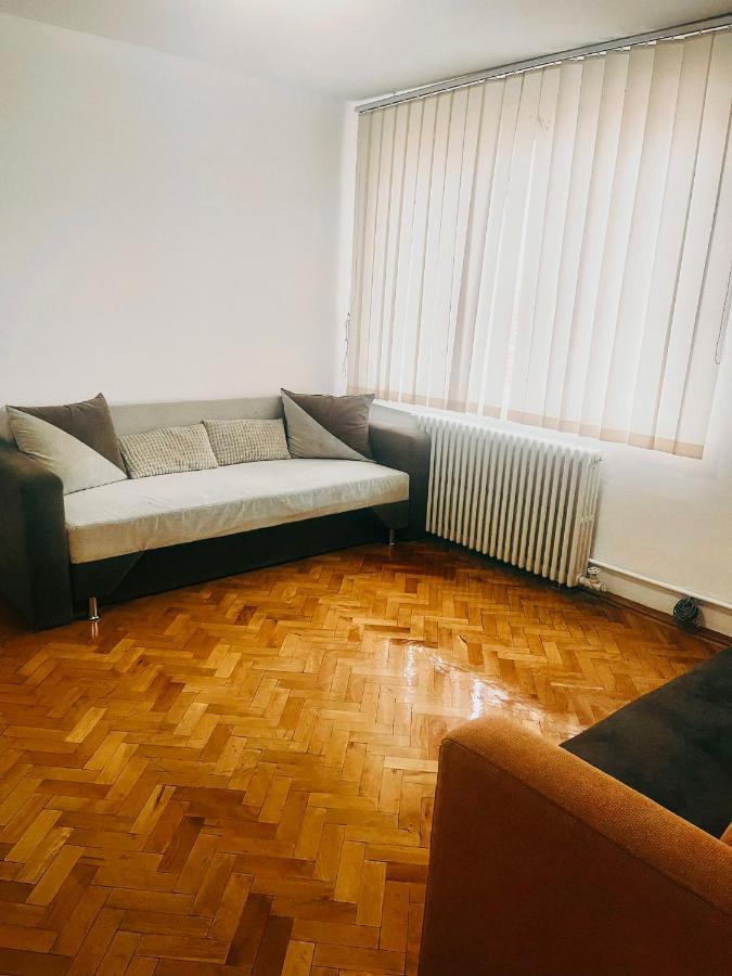 Ultracentral Big Apartment - Near The Opera Square P17 Τιμισοάρα Εξωτερικό φωτογραφία