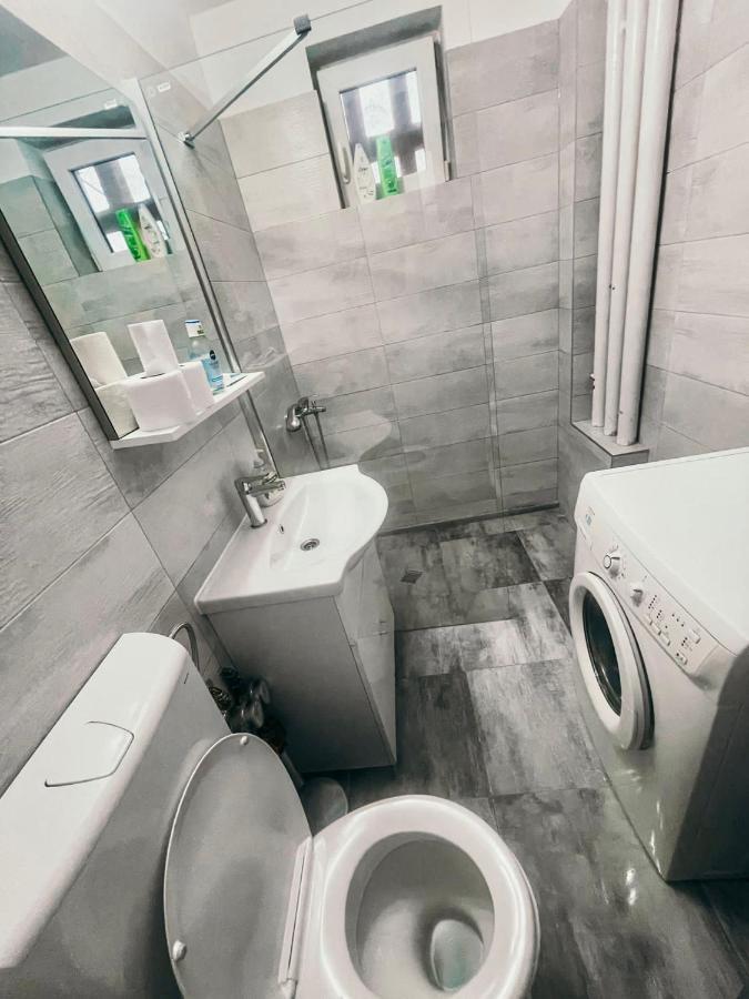 Ultracentral Big Apartment - Near The Opera Square P17 Τιμισοάρα Εξωτερικό φωτογραφία