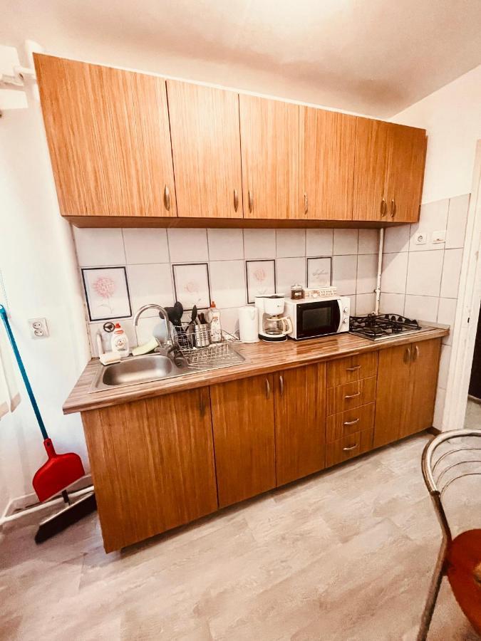 Ultracentral Big Apartment - Near The Opera Square P17 Τιμισοάρα Εξωτερικό φωτογραφία